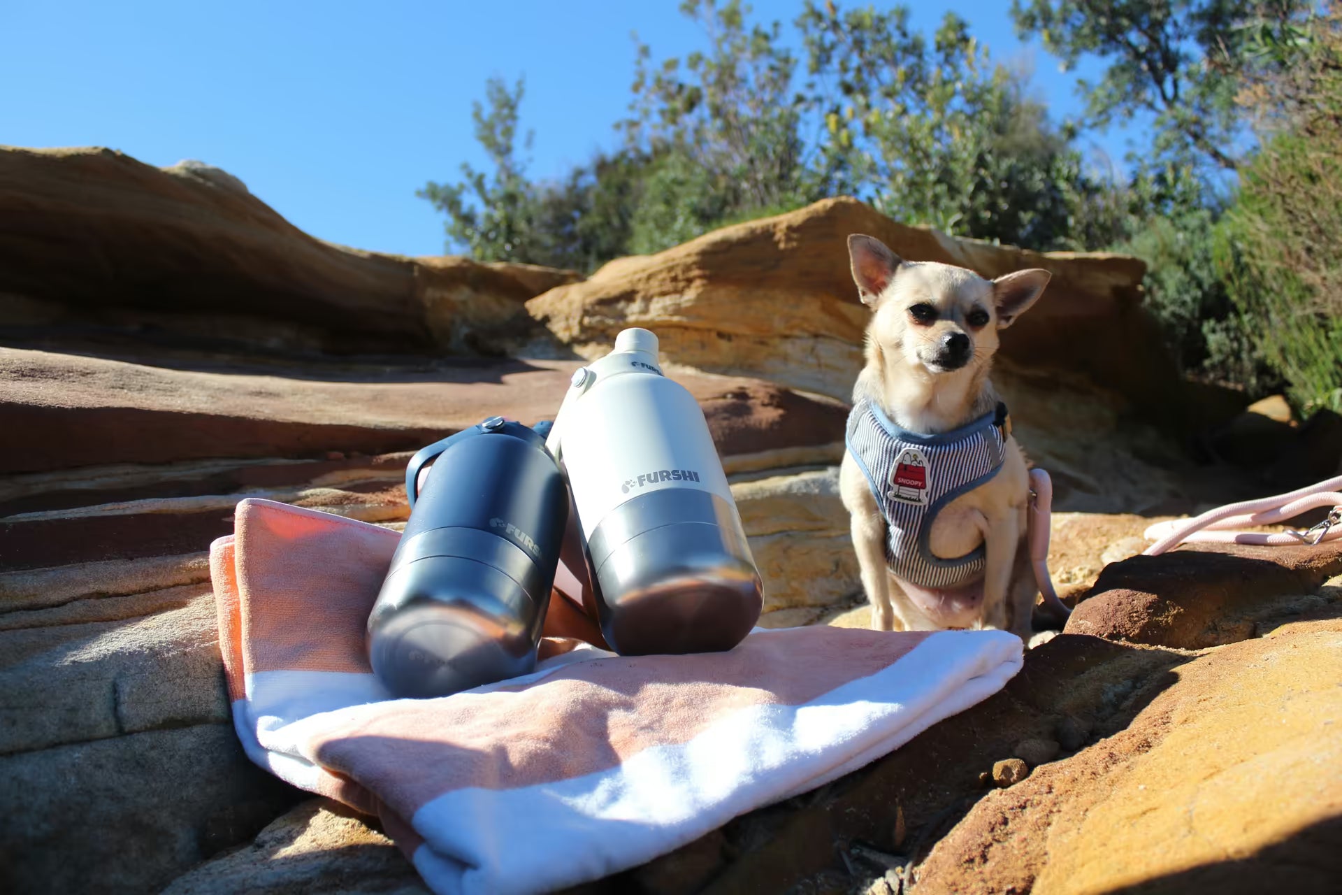 Furshi bottles on an adventure