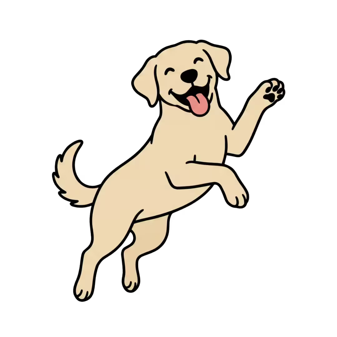 Happy dog enjoying a day out