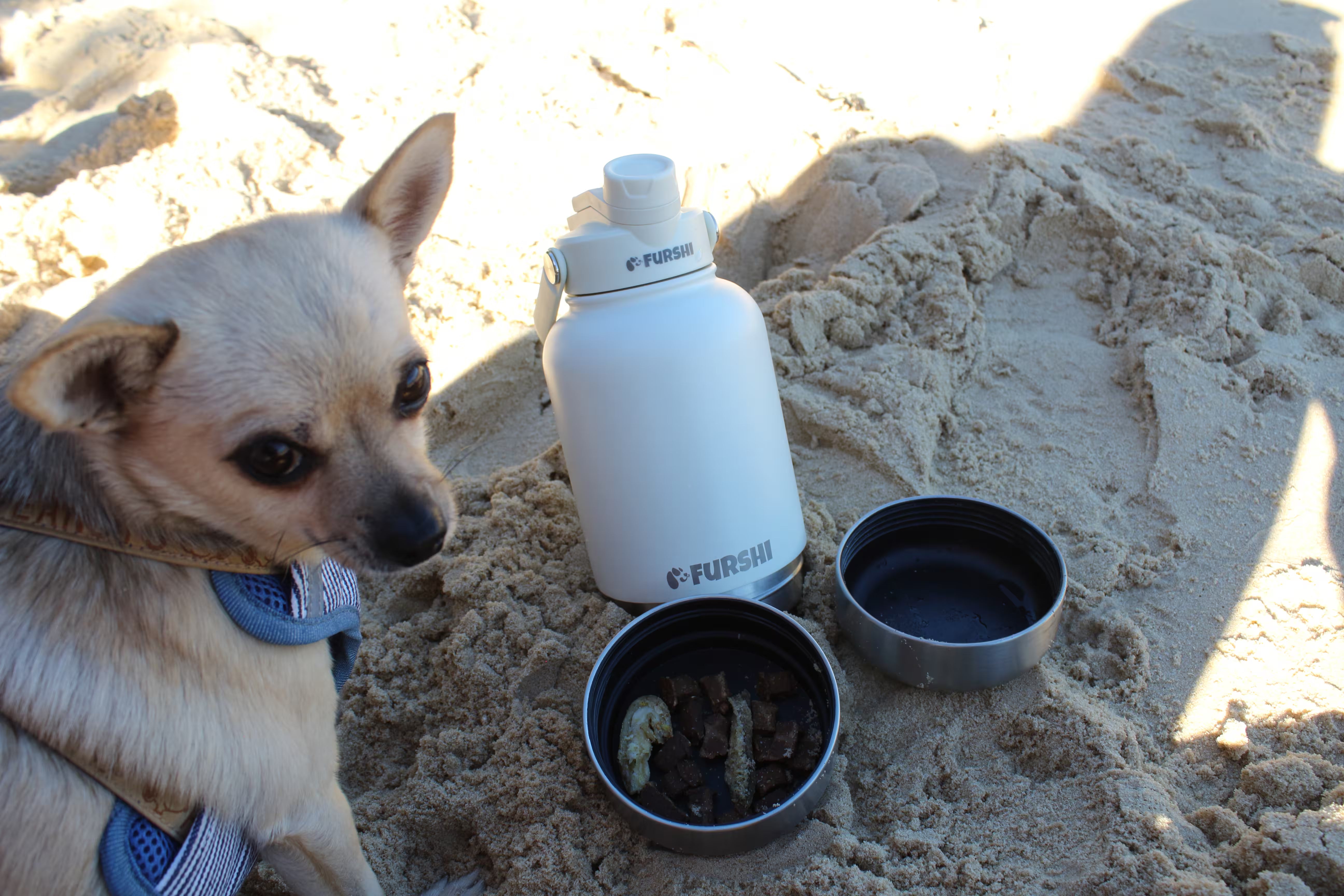 Detachable stainless steel dog bowls beside the Furshi bottle